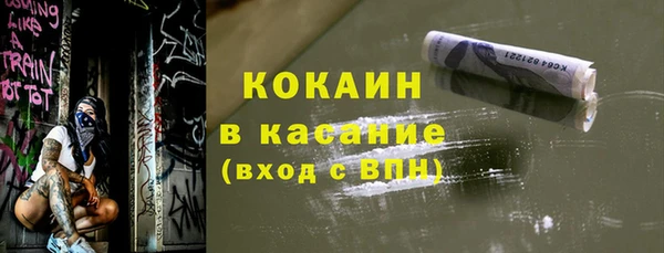 стаф Алзамай
