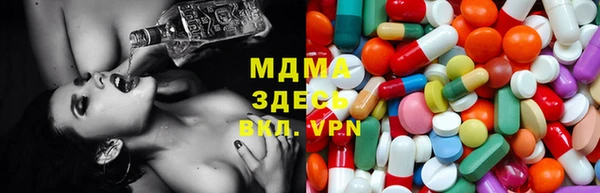 стаф Алзамай