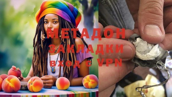 стаф Алзамай