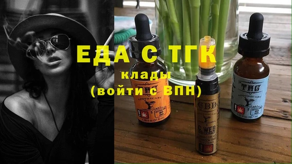 стаф Алзамай