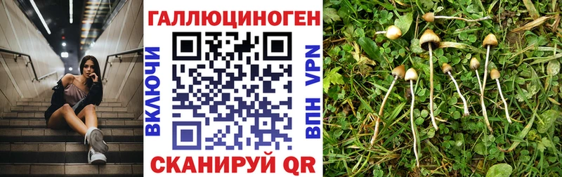 Галлюциногенные грибы мухоморы  Купить  Зеленоградск 