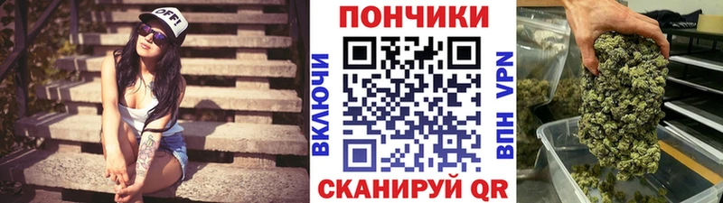 Шишки марихуана марихуана  Купить где  Зеленоградск 